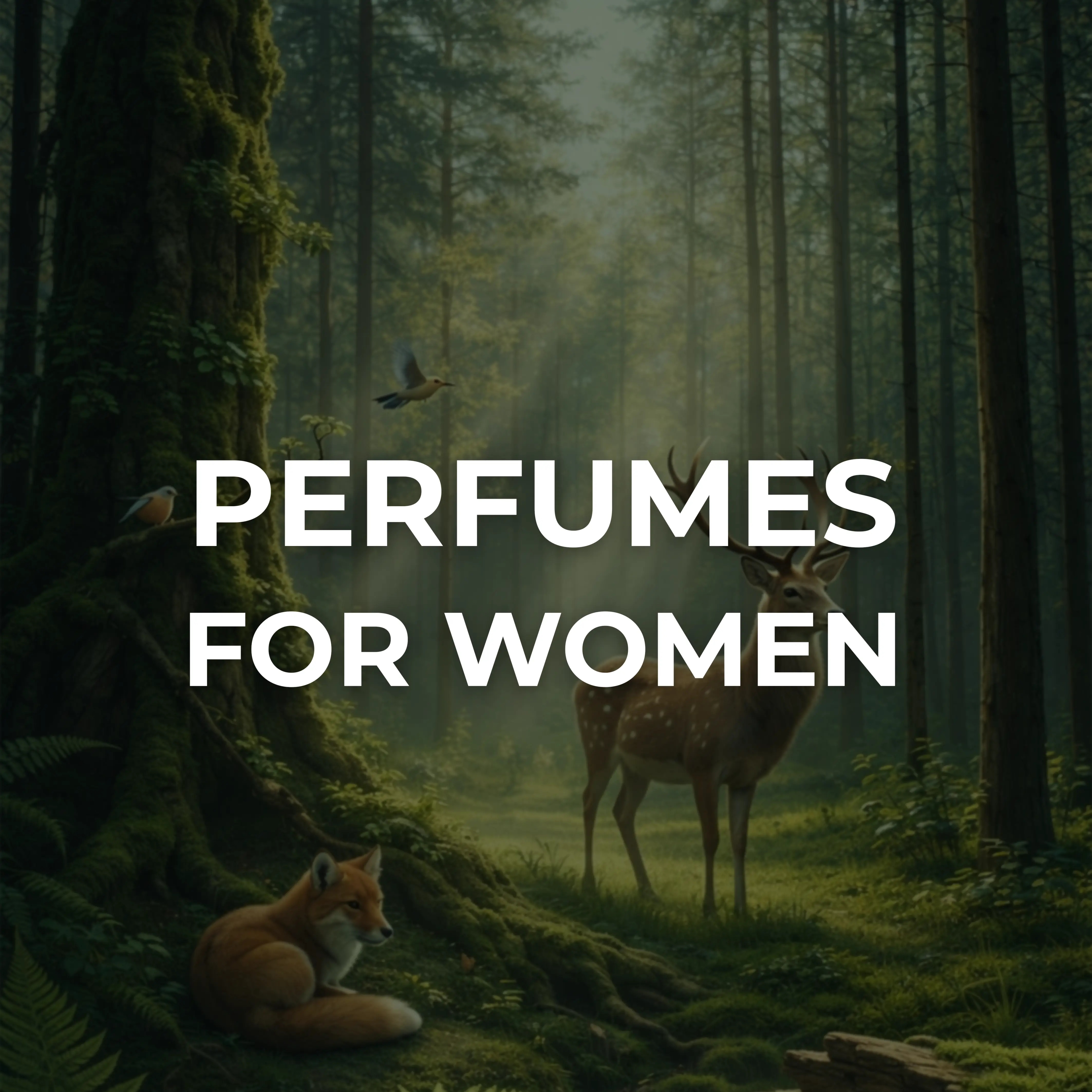 Women's Fragrances