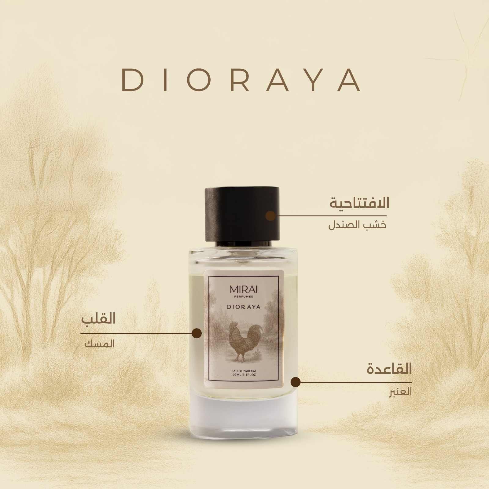 DIORAYA