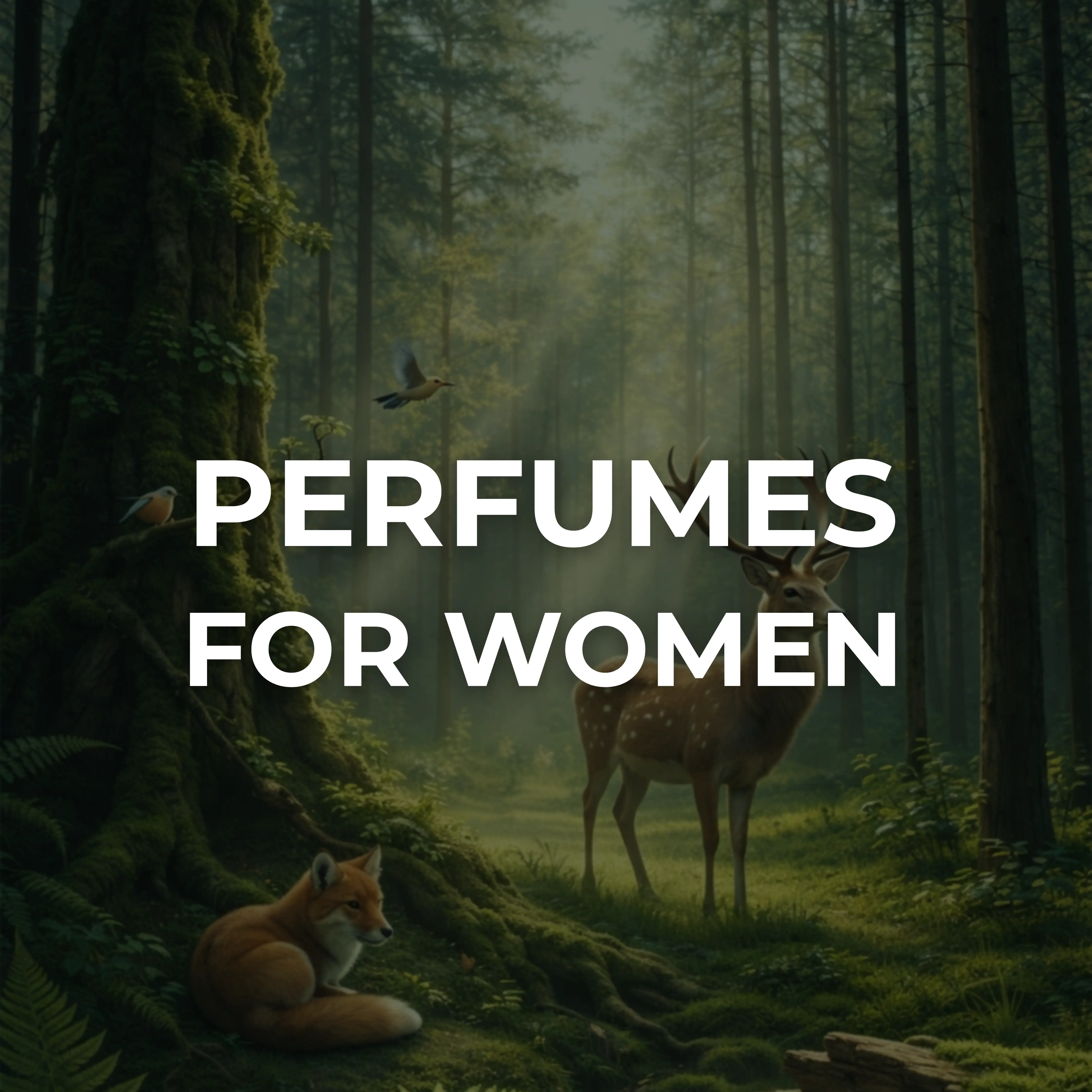 عطور نسائية